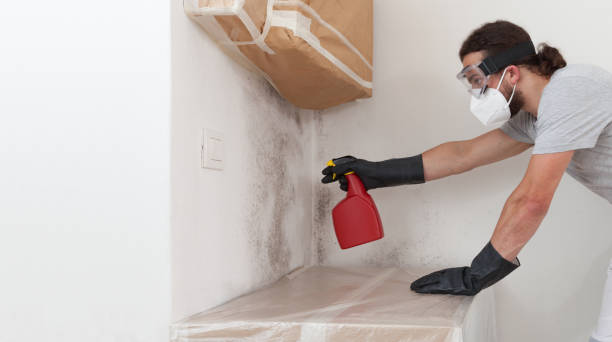 Professional Bathroom Mold Removal technician working in Downers Grove, IL